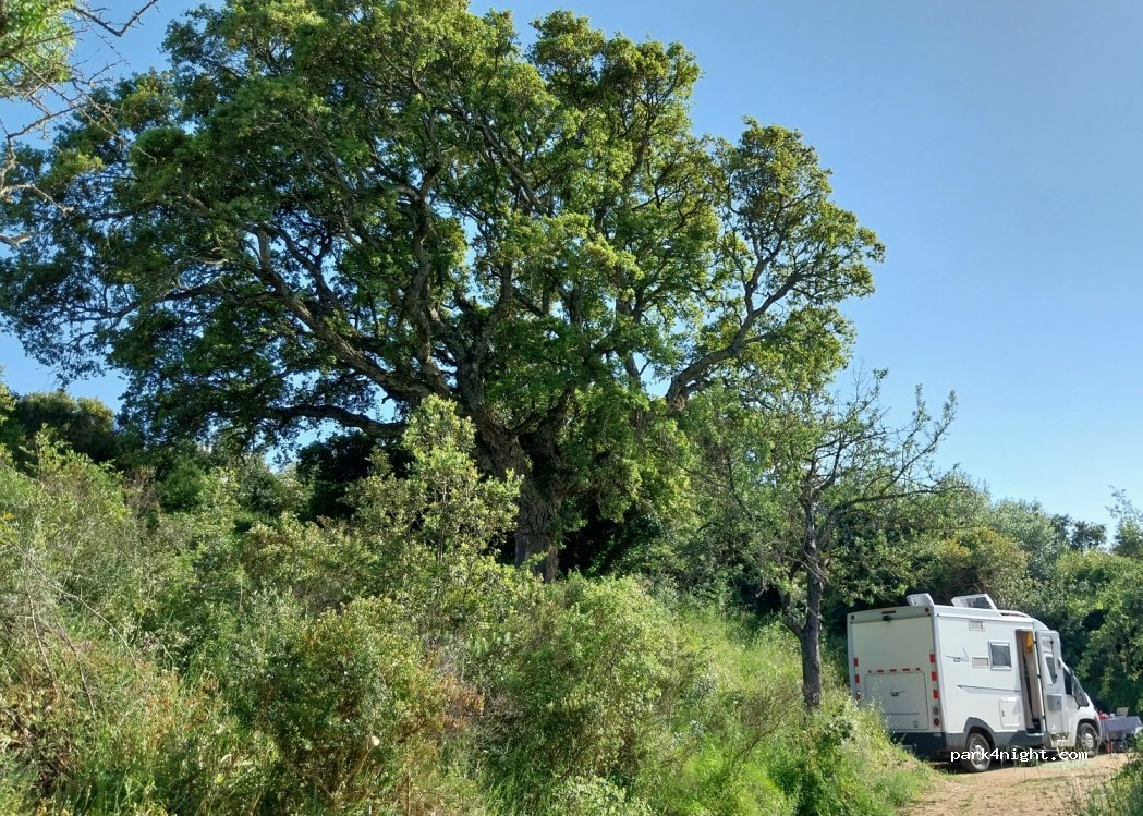 Ortu Tesoru — foto 4