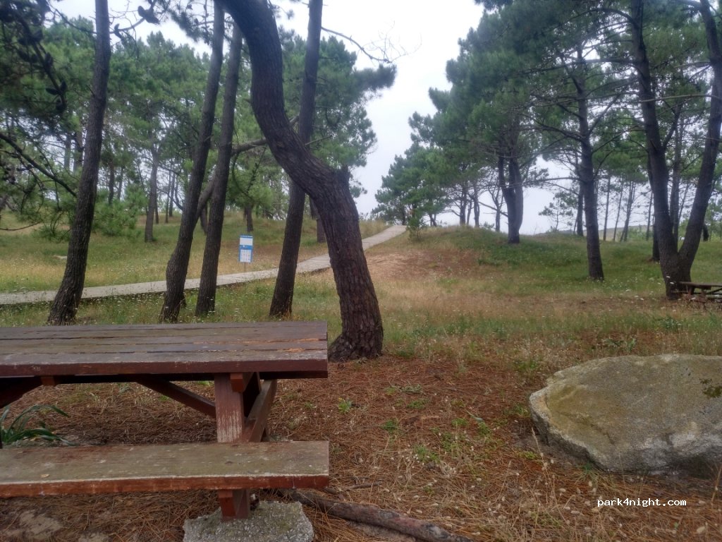 (15337) Manón - 7 Lugar Pumar Vale — foto 3