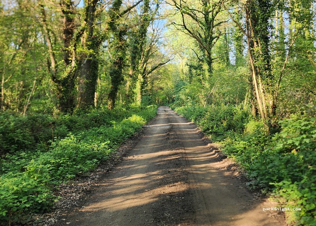 (22290) Pléguien - 1 Bois de Keiro — foto 2
