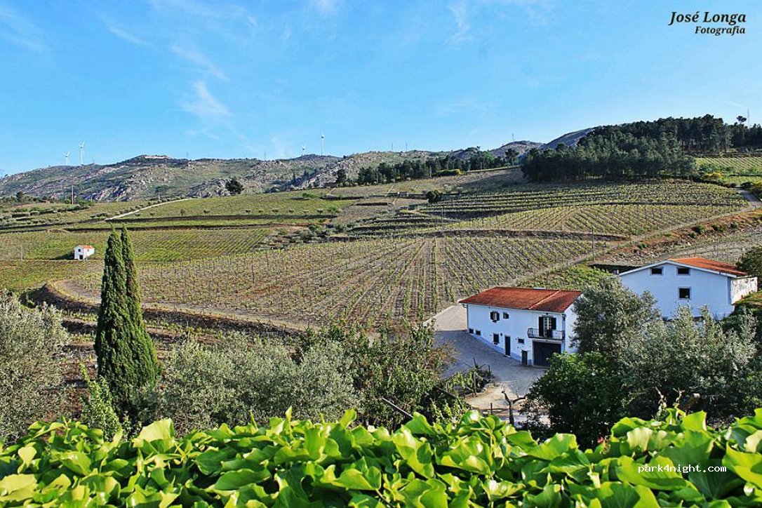 Quinta da Padrela — foto 3