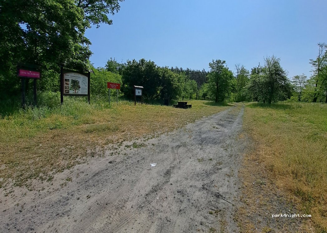 (74) Stara Rudnica - 126 — foto 2