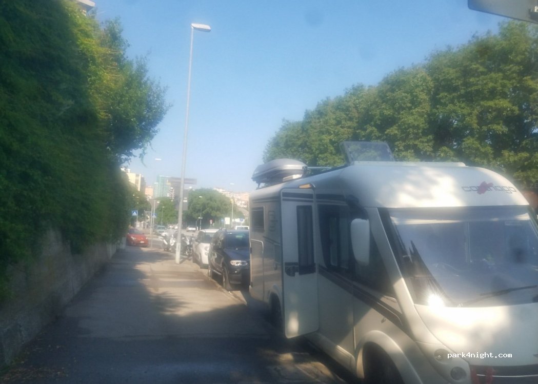 (34143) Trieste - 58 Viale Campi Elisi — foto