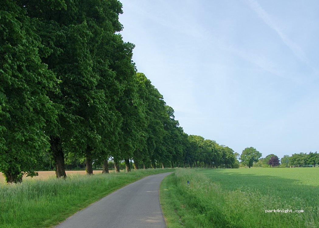 Boerencamping Remmelink — foto