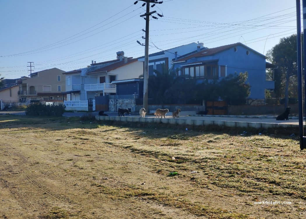 (35430) Urla - 194 A İçmeler Caddesi — foto 2