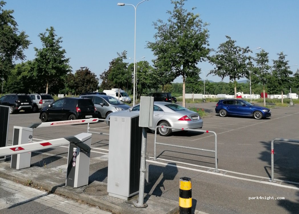 (5000) Aarau - 39 Schachenallee — foto 2