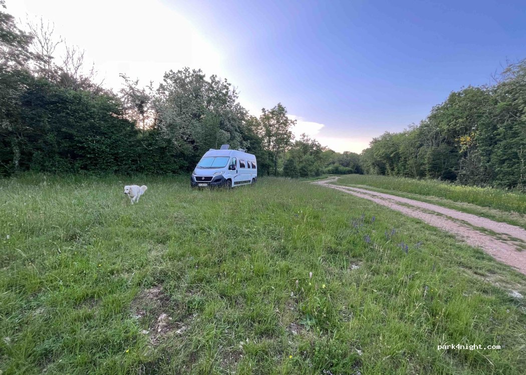 (01270) Coligny - — foto
