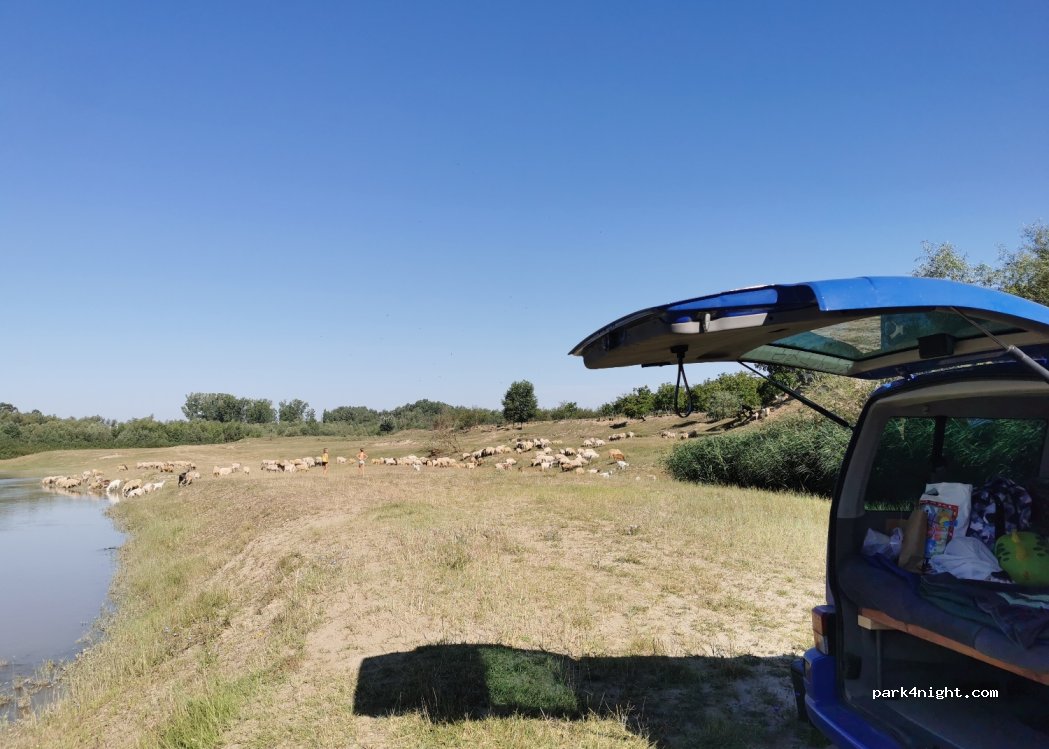 (707007) Șcheia - 207M — foto 2