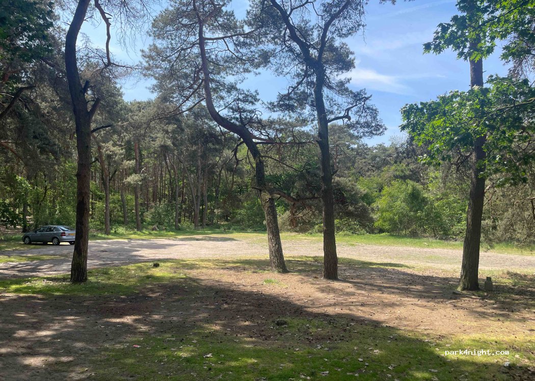 (6006) Weert - Unnamed Road — foto