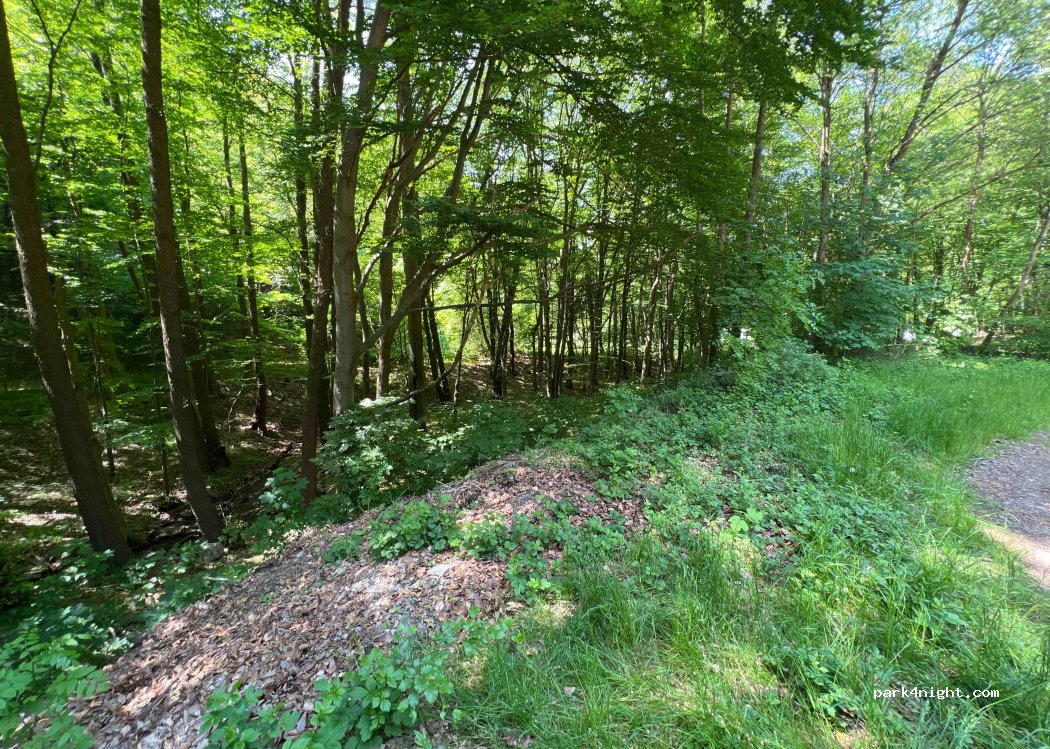 (07427) Schwarzburg - 54 Burkersdorfer Straße — foto