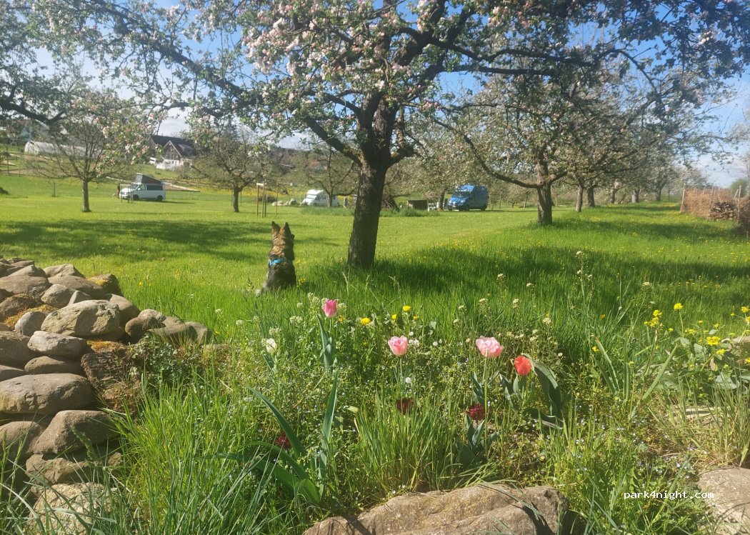 Familyfarm — foto 5