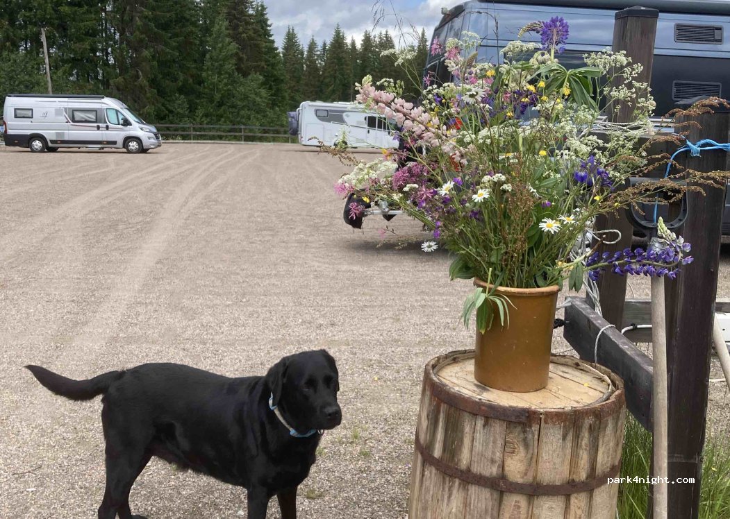 PIONJÄRGÅRD | ekogård - ateljé - camping - butik — foto 3