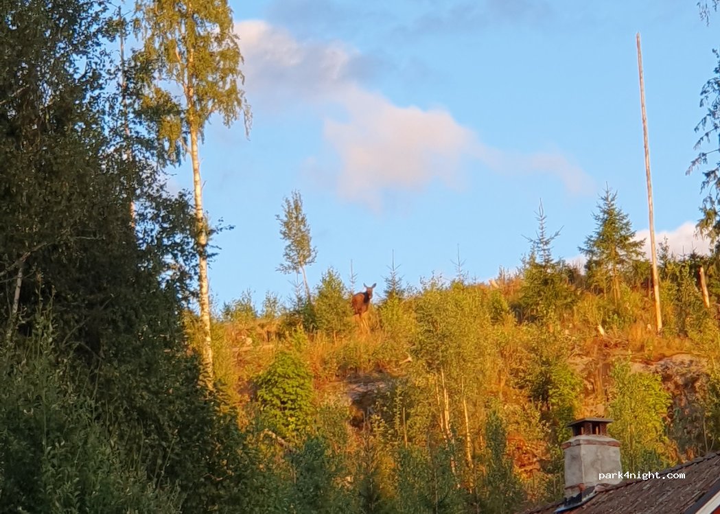 PIONJÄRGÅRD | ekogård - ateljé - camping - butik — foto 5