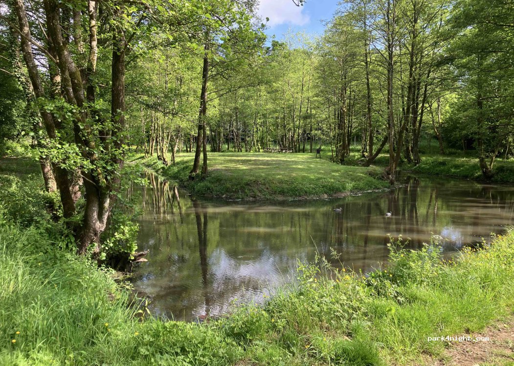 (50410) Villebaudon - 2 Le Montesser — foto 3