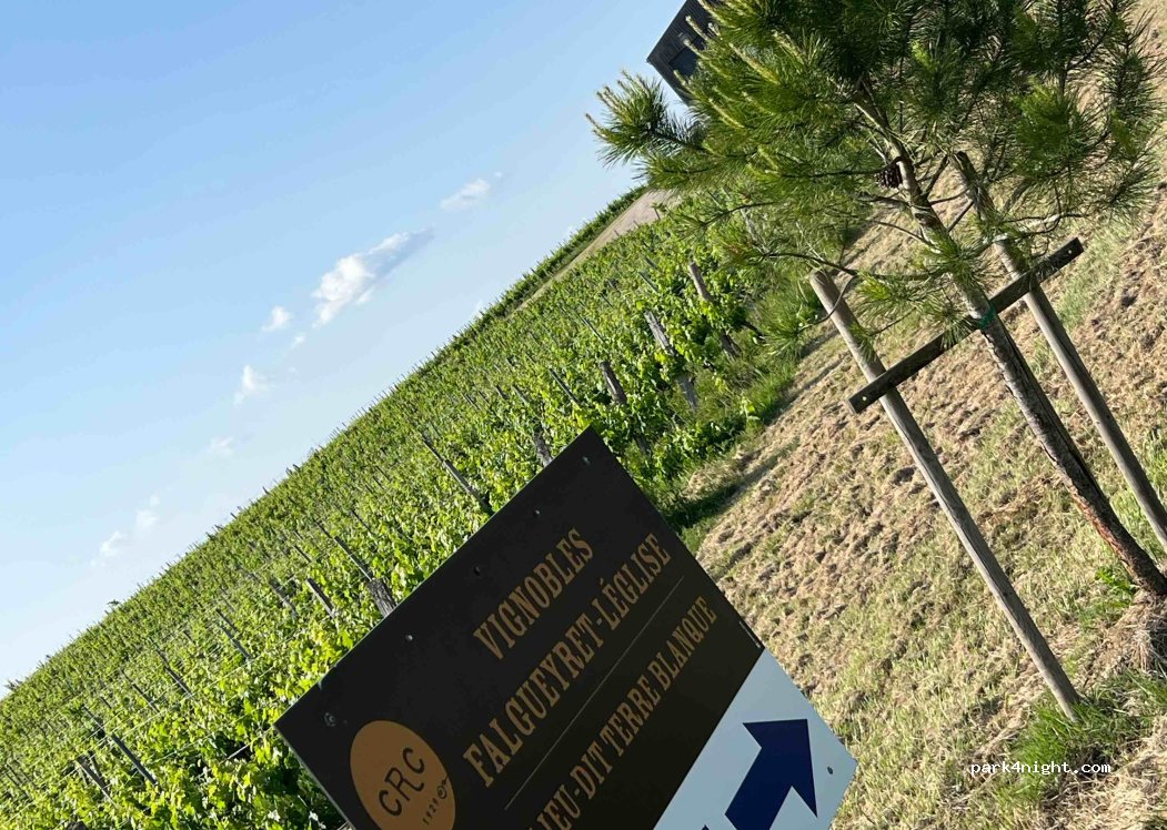 Vignobles Falgueyret-Léglise — foto