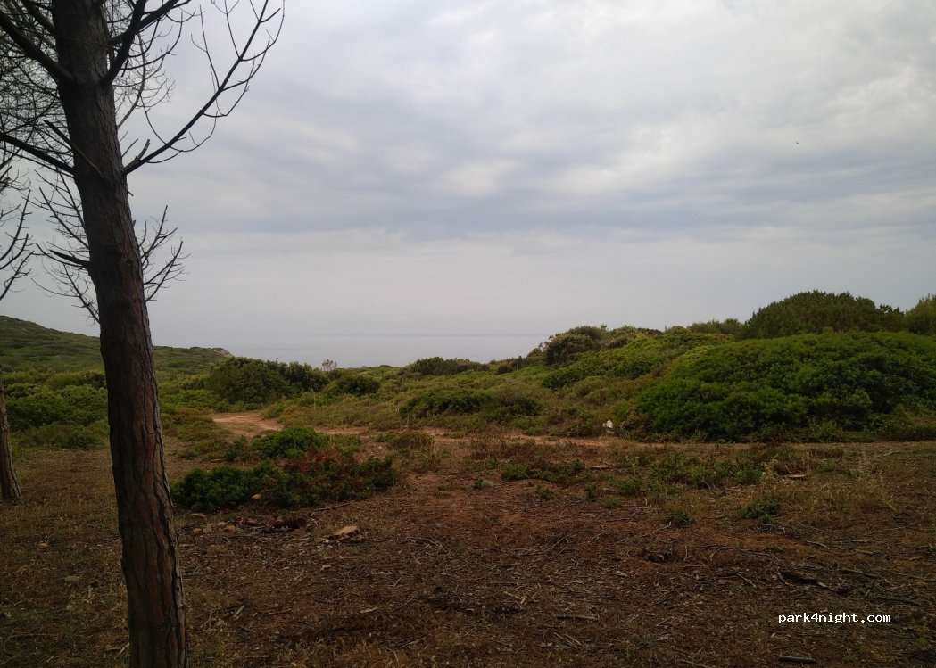 (07100) Sassari - — foto