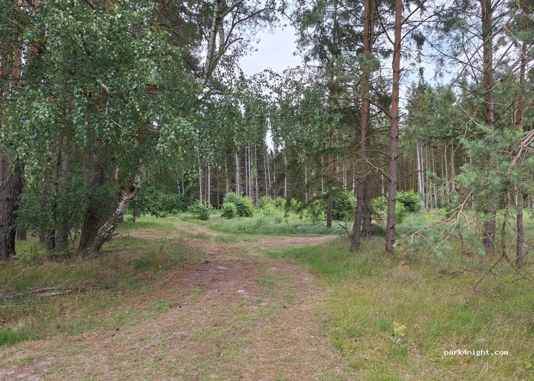 () Mirow - — foto 3