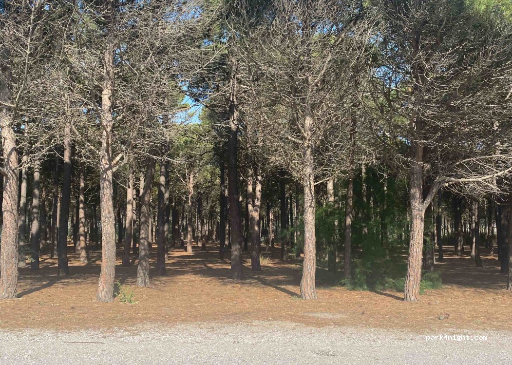 (66420) Le Barcarès - 10 Rue du Mas de la Grêle — foto