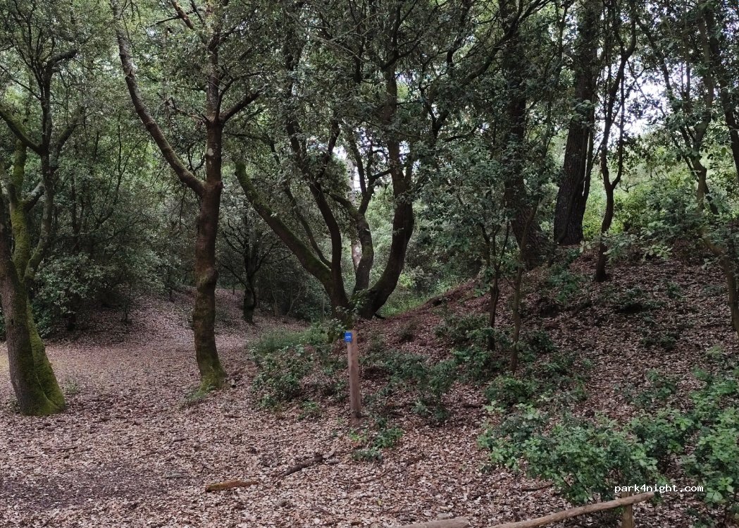 Camping Odalys Les Demoiselles — foto 2