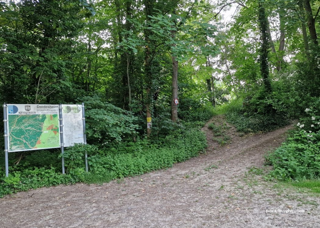 (67435) Neustadt an der Weinstraße - 14 Kapellenstraße — foto 3