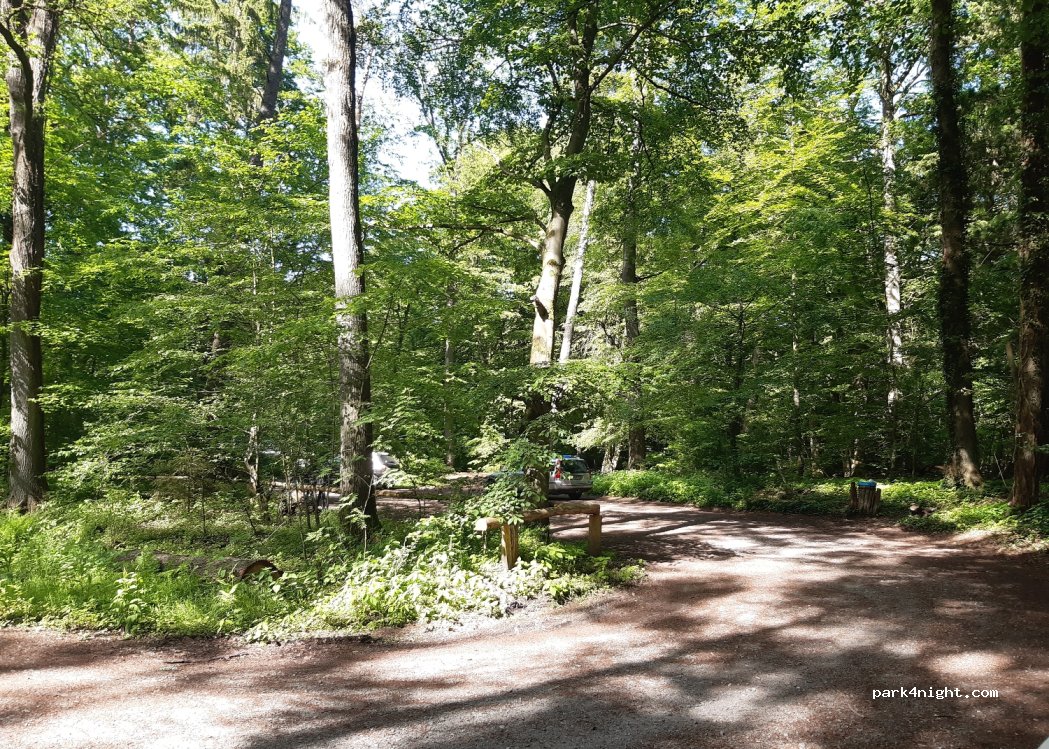(29223) Celle - L282 — foto