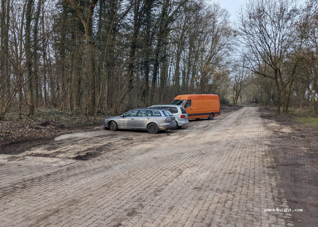 (67141) Neuhofen - Schlicht — foto 4