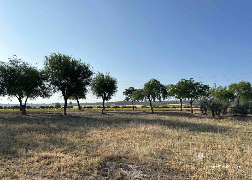 (41600) Arahal - 21 Calle Badajoz — foto 2