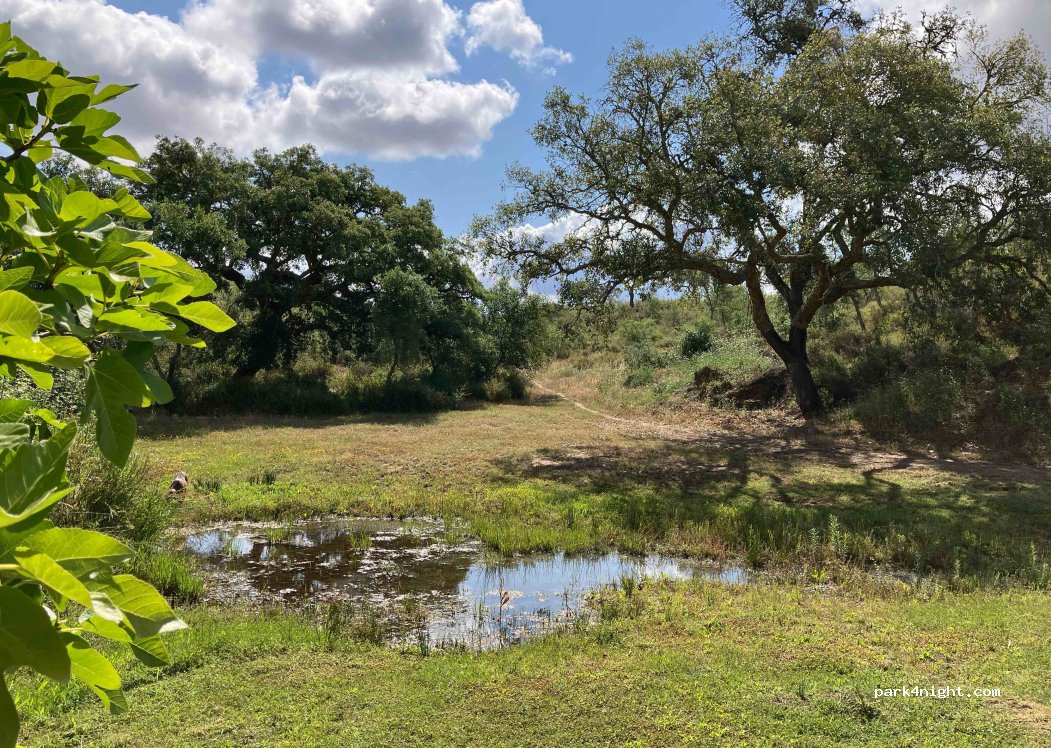 Green Oaks Alentejo — foto 2