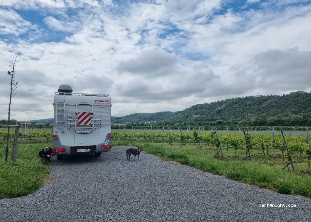 (97286) Sommerhausen - 8 Sandtal — foto 3