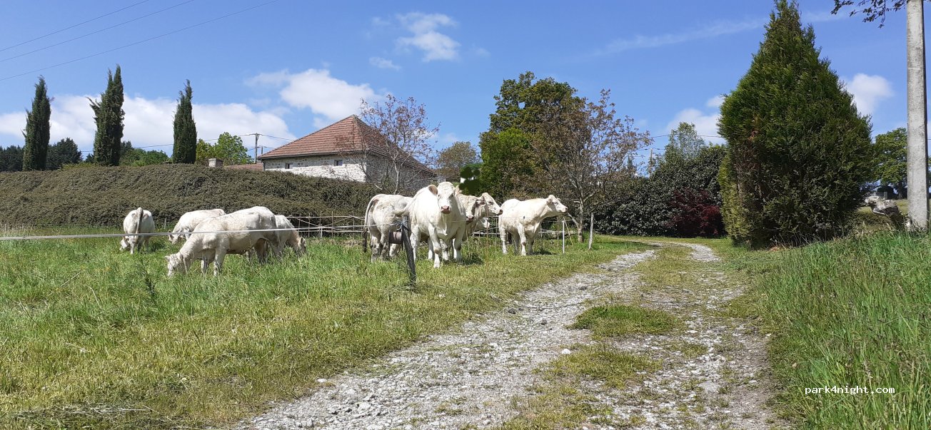 geoSPOT — foto 2