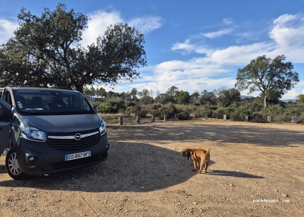(83340) Le Cannet-des-Maures - Unnamed Road — foto 3