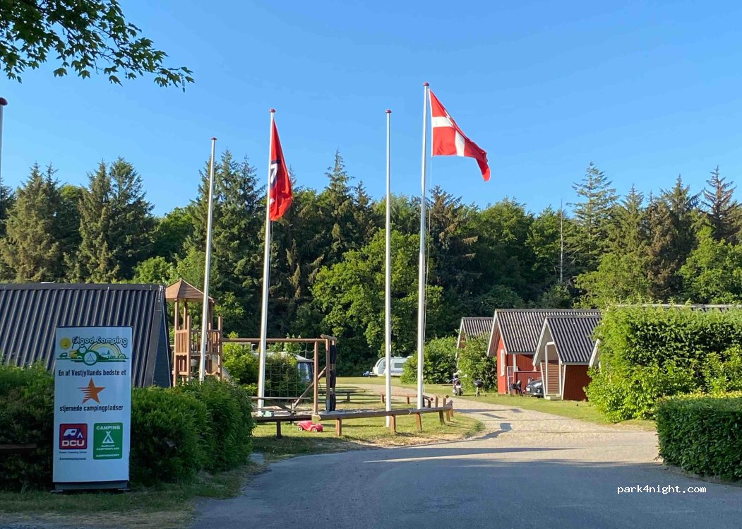 Ølgod Camping — foto