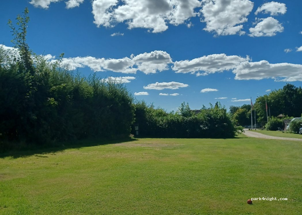 Ølgod Camping — foto 3