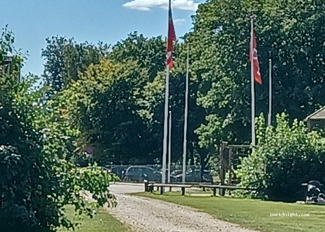 Ølgod Camping — foto 4