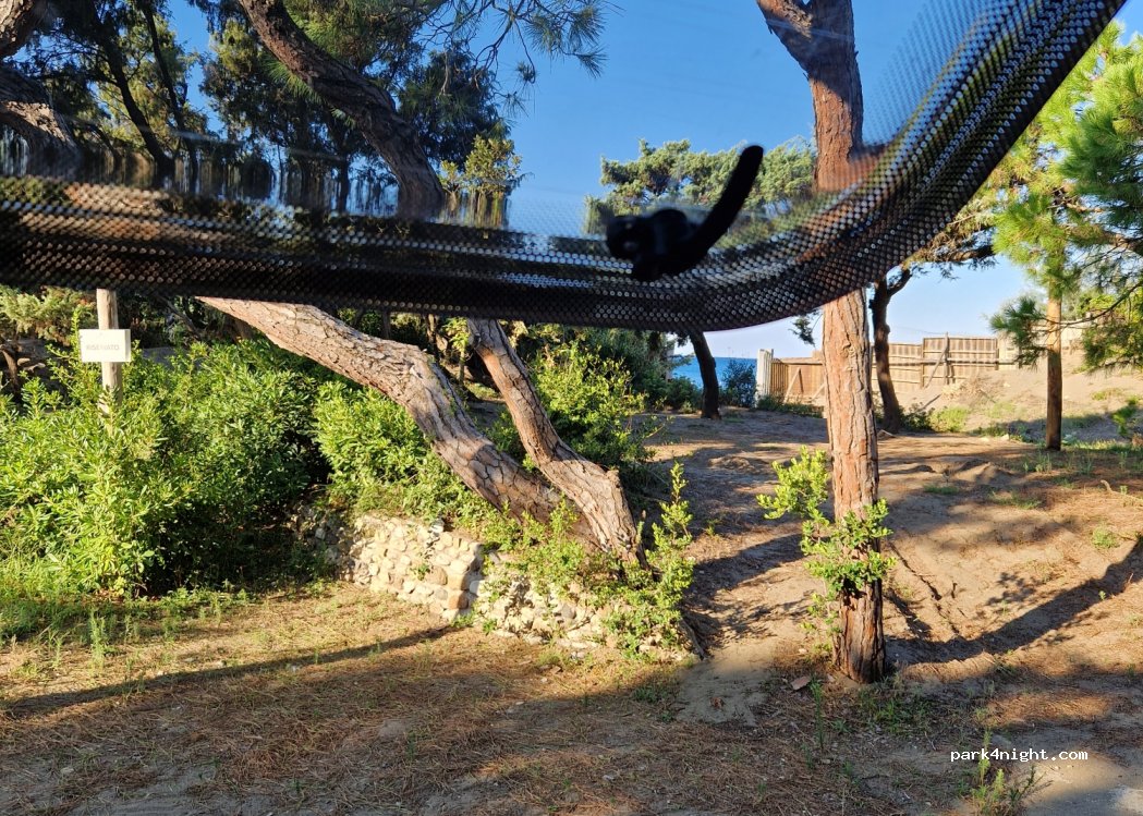 Camping il Capannino — foto 3