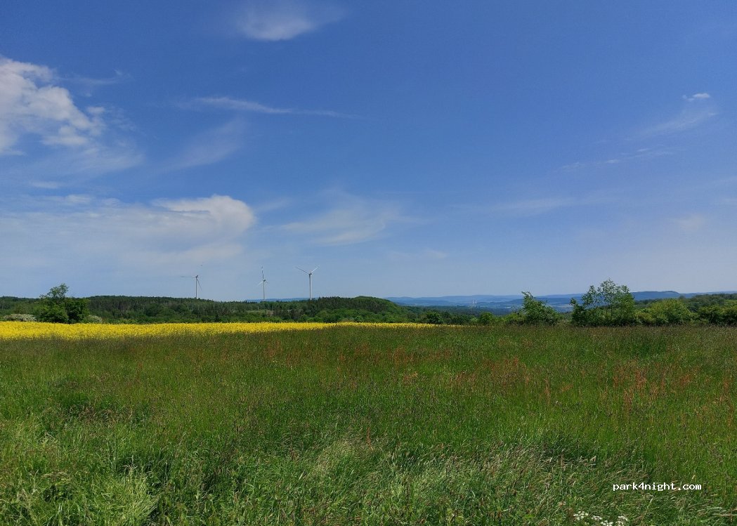 (31737) Rinteln - 14 Schevelsteiner Straße — foto 3