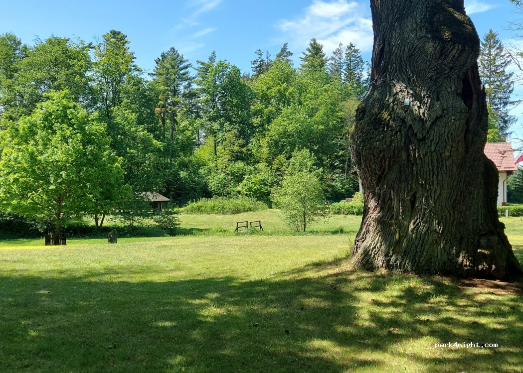 (89-608) Laska - Unnamed Road — foto 3
