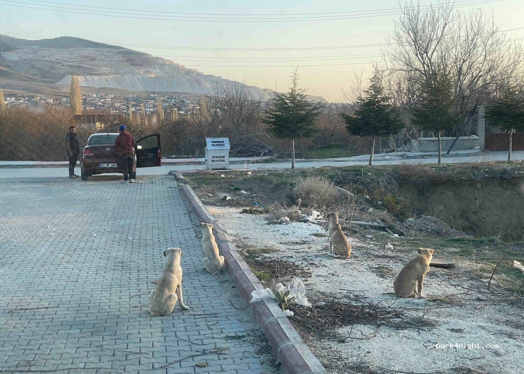(51100) Gümüşler - Unnamed Road — foto 4