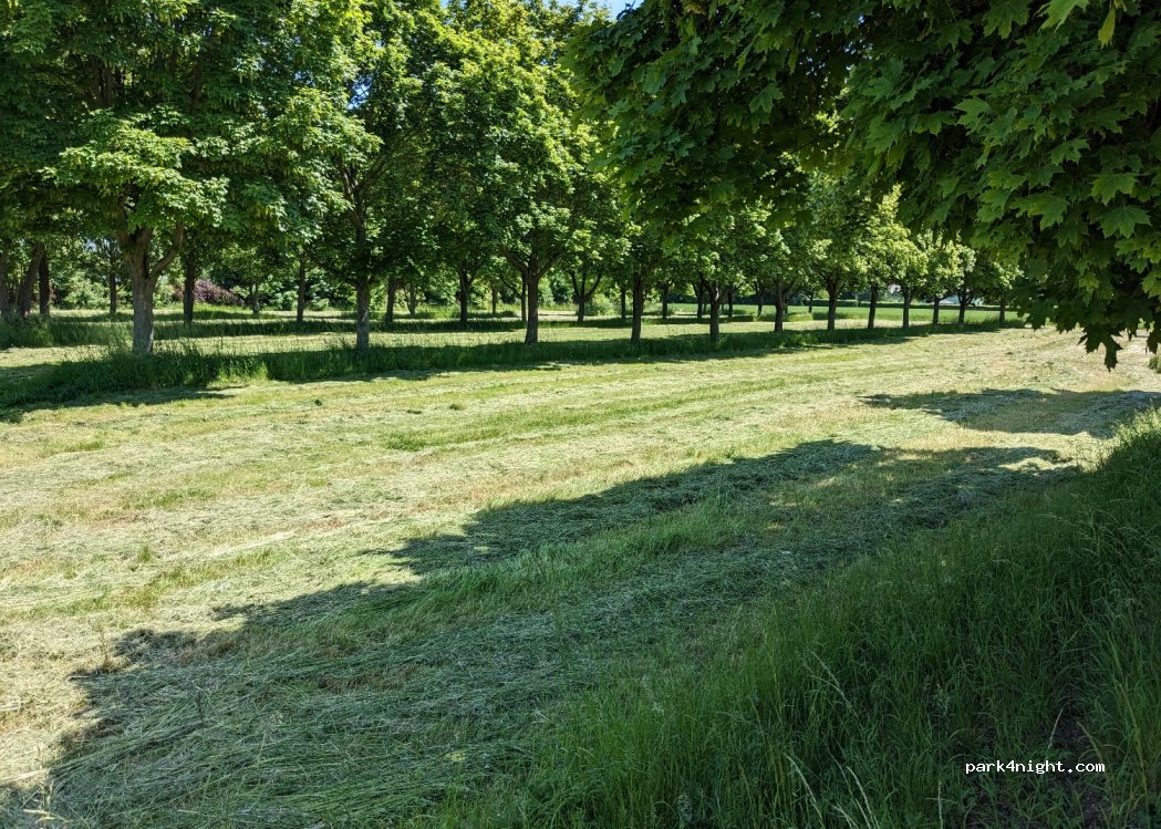 (04523) Pegau - 4 Flur am Stadtbad — foto 2