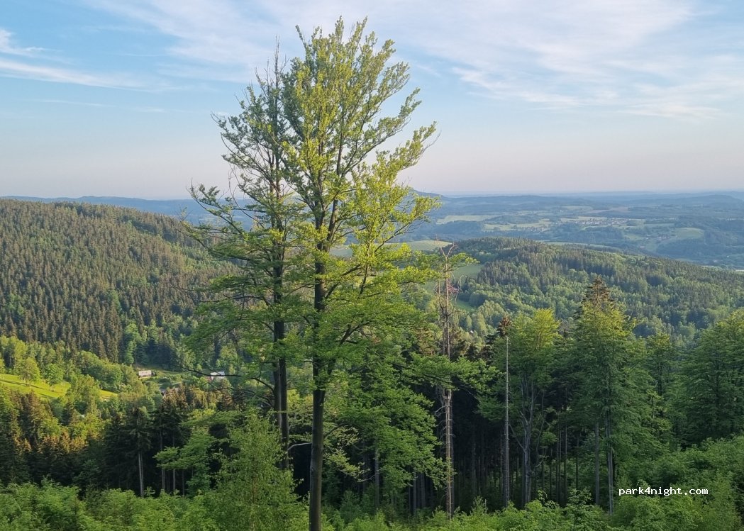 (468 48) Kořenov - 290 — foto