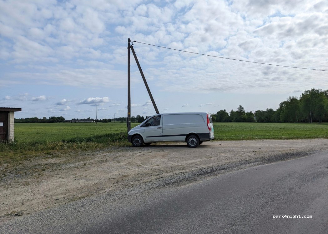 (48224) Pajusi - Moisa tee — foto 2