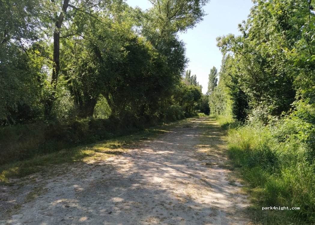 (17540) Nuaillé-d'Aunis - D109 — foto 2