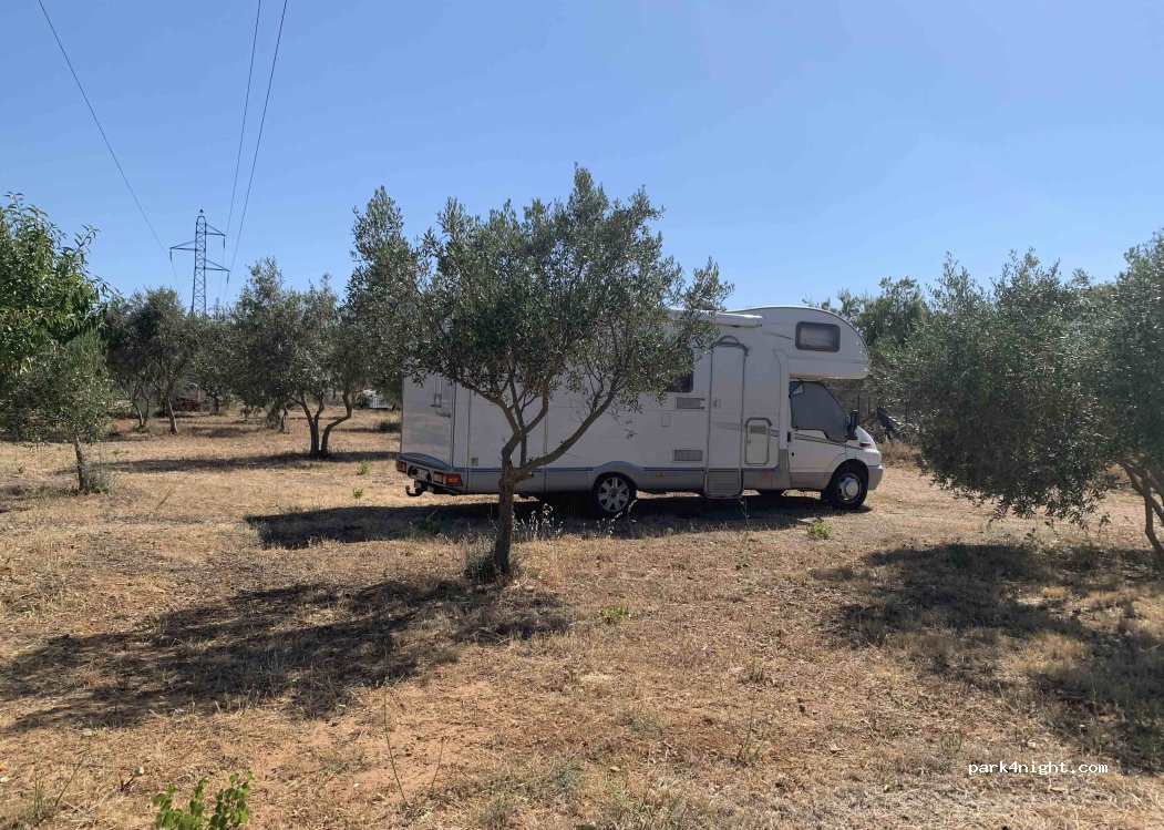 (11100) Narbonne - 47 Chemin du Pech de l'Agnel — foto 4