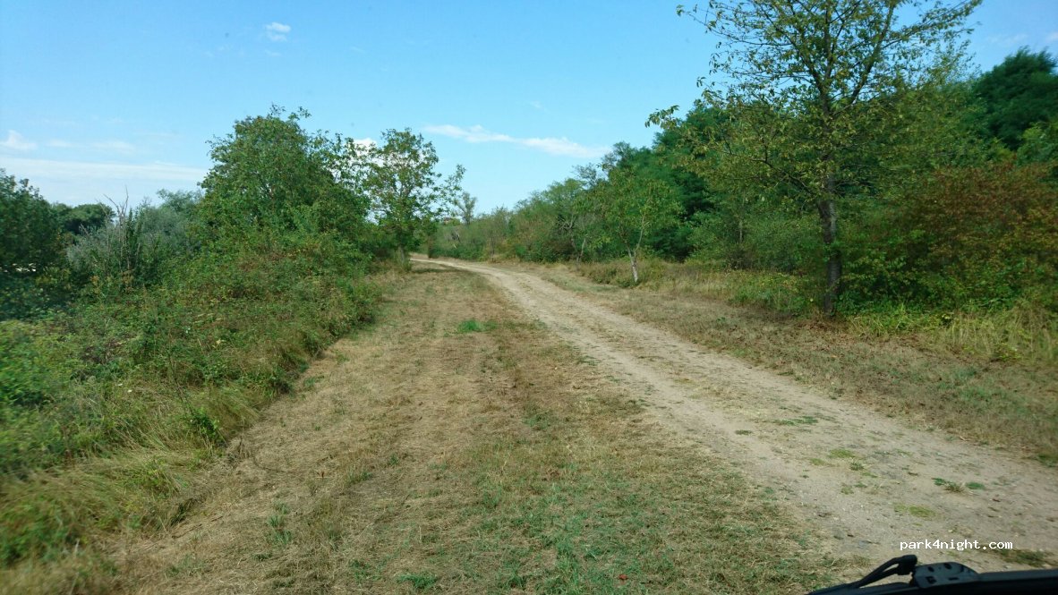 (58160) Béard - 4 D981 — foto 2