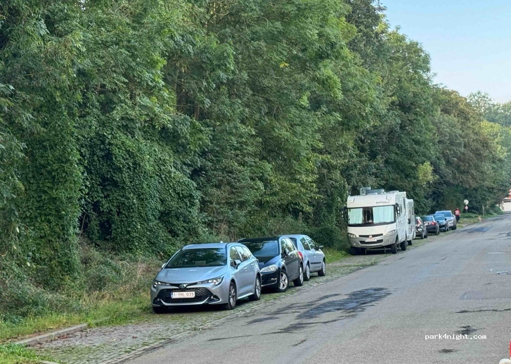 (4030) Liège - 84 Rue Thier de la Chartreuse — foto