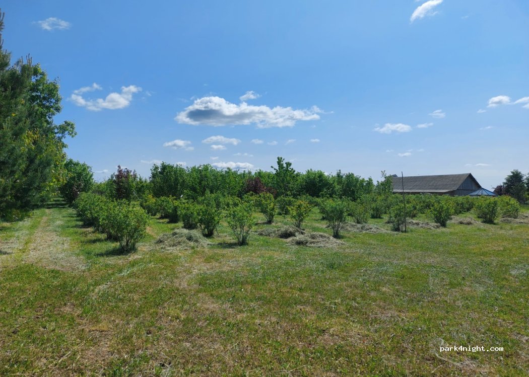 (38435) Kriaučiūnai - — foto