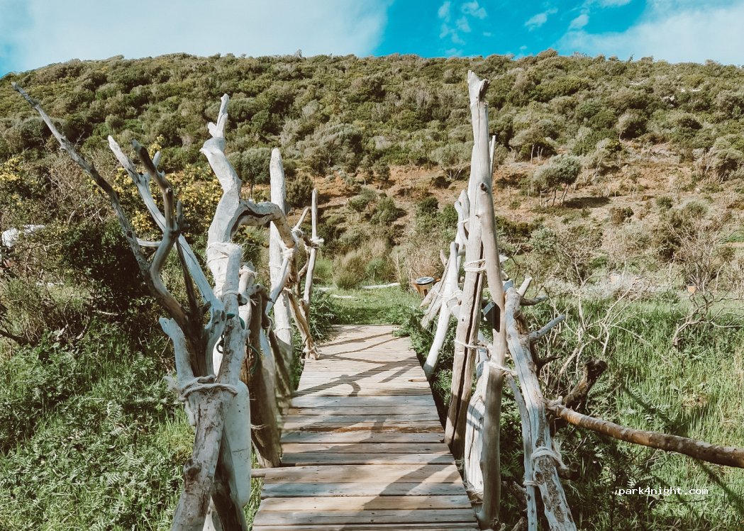 Campement Natura — foto 4