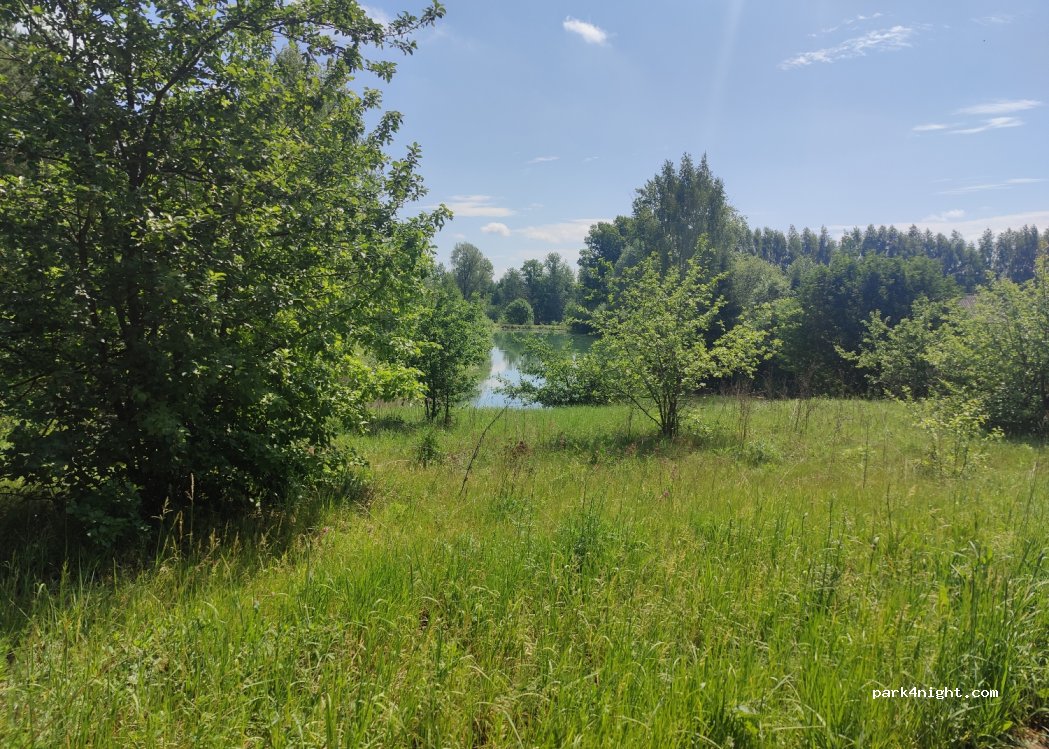 (423622) Pospelovo - — foto 4