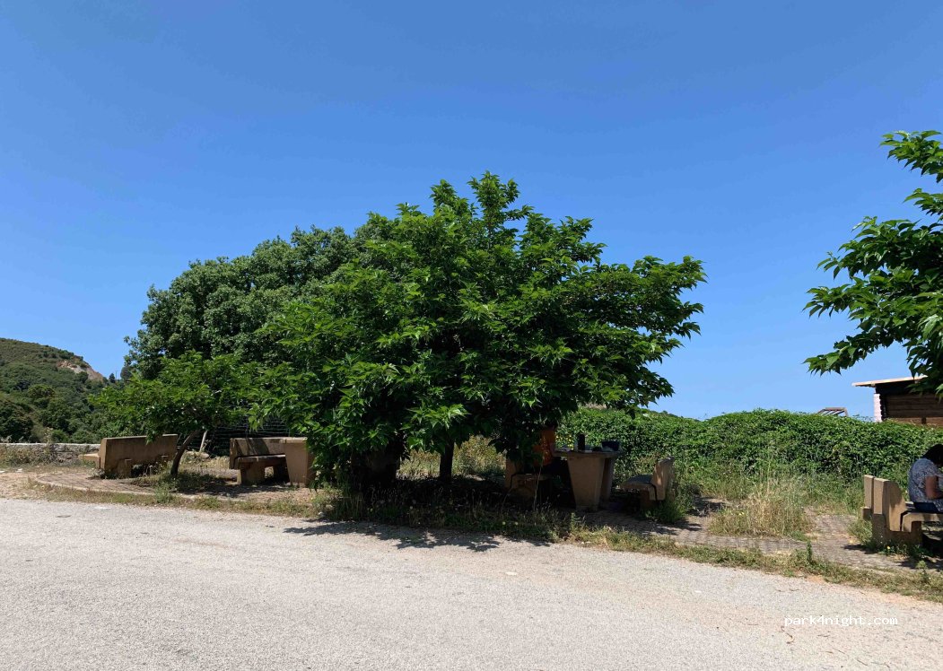(20111) Calcatoggio - D81 — foto