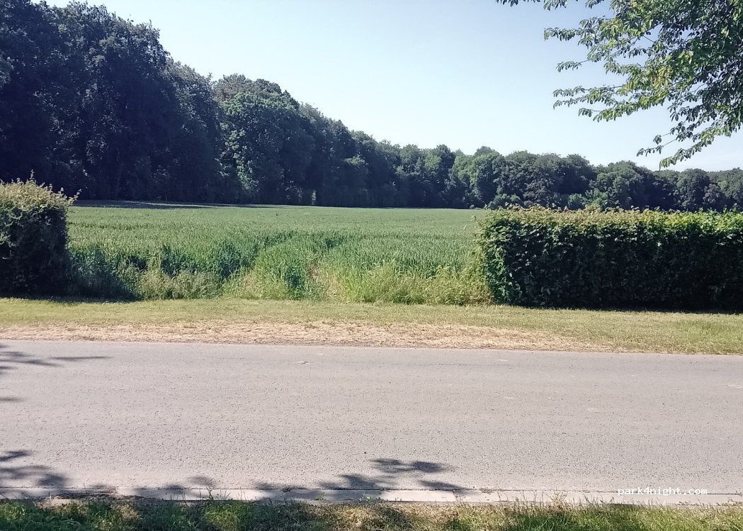 (80710) Quevauvillers - 37 Rue de Courcelles — foto 3