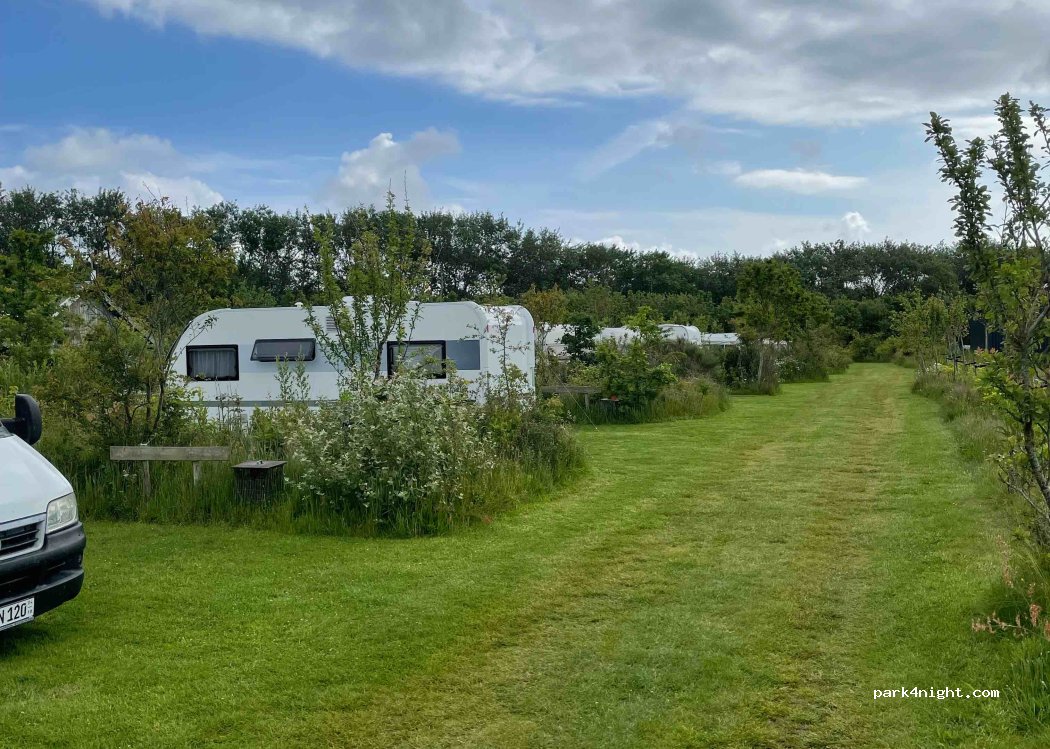 Mini camping de Rugediek — foto 2